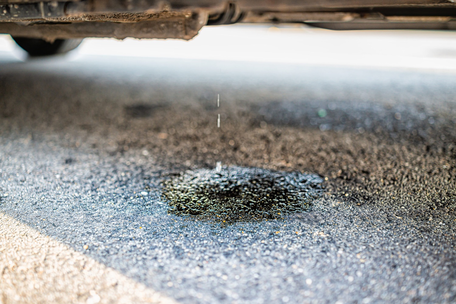 Small Spill Cleanup in Washington State