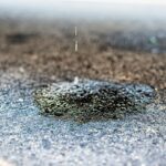 Small Spill Cleanup in Washington State