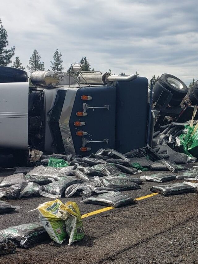Smashed and Soiled on the I-90