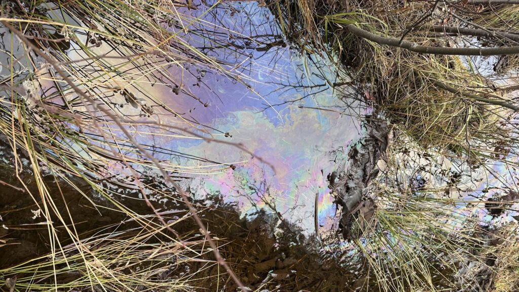 Diesel fuel spill cleanup