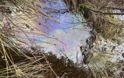 Diesel fuel spill cleanup