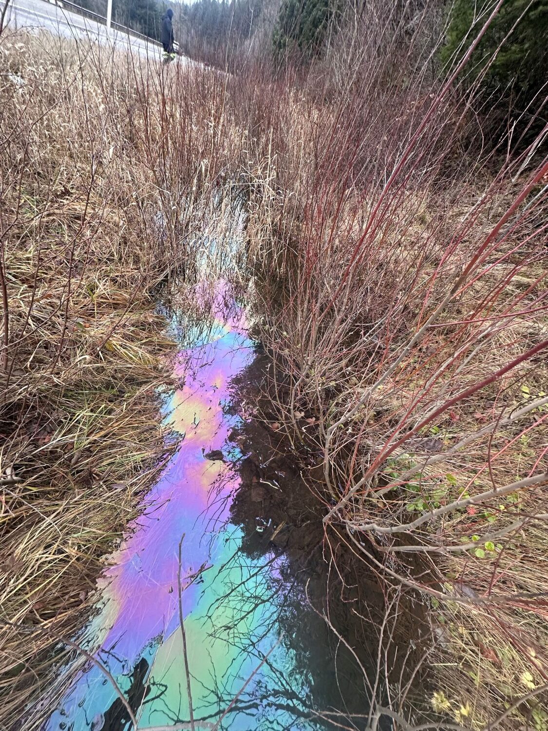Diesel fuel spill cleanup in a drainage ditch