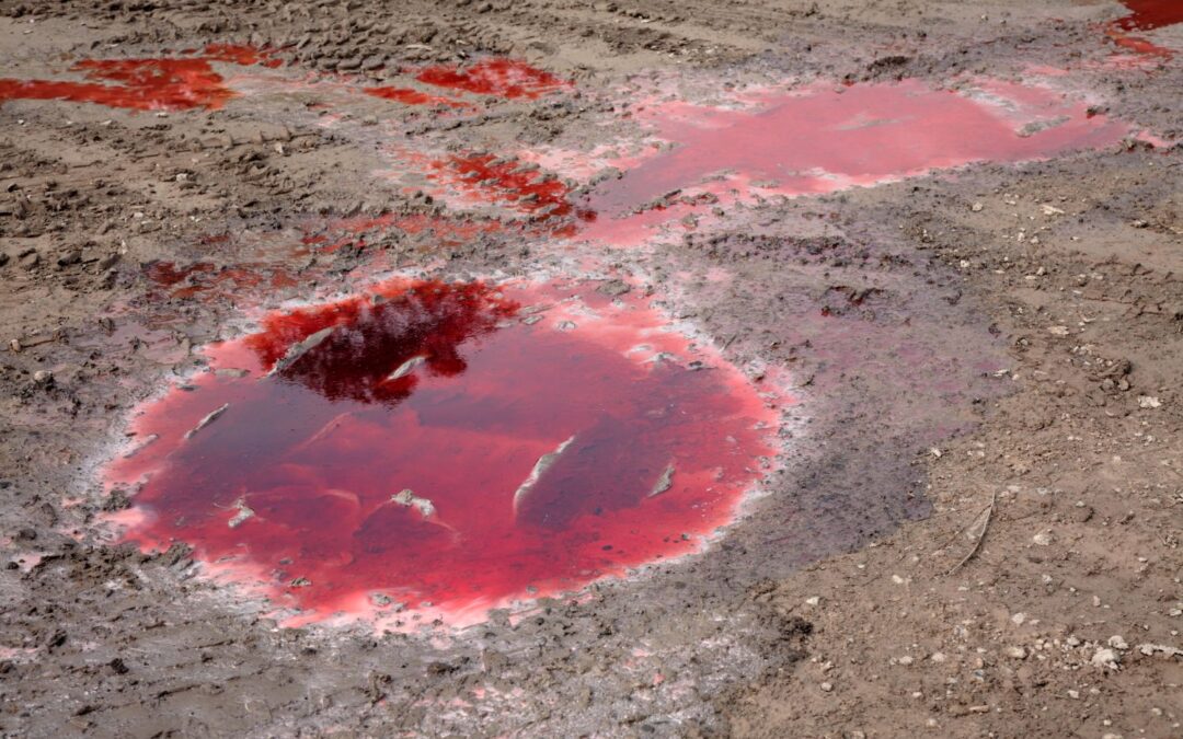 What You Should Do When a Small Spill Happens