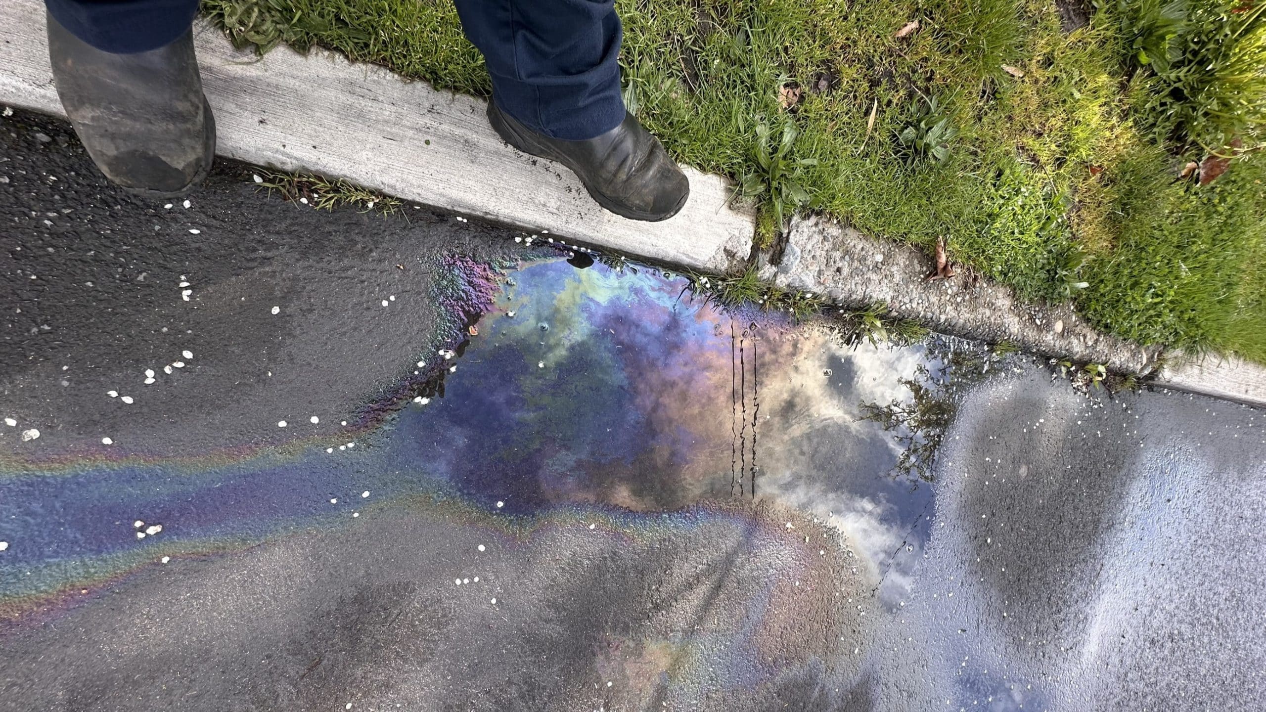 Image - 2025-04-15T120123.878 Oil Spill Cleanup in Seattle