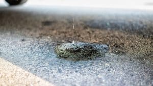 Small spill cleanup in Washington State